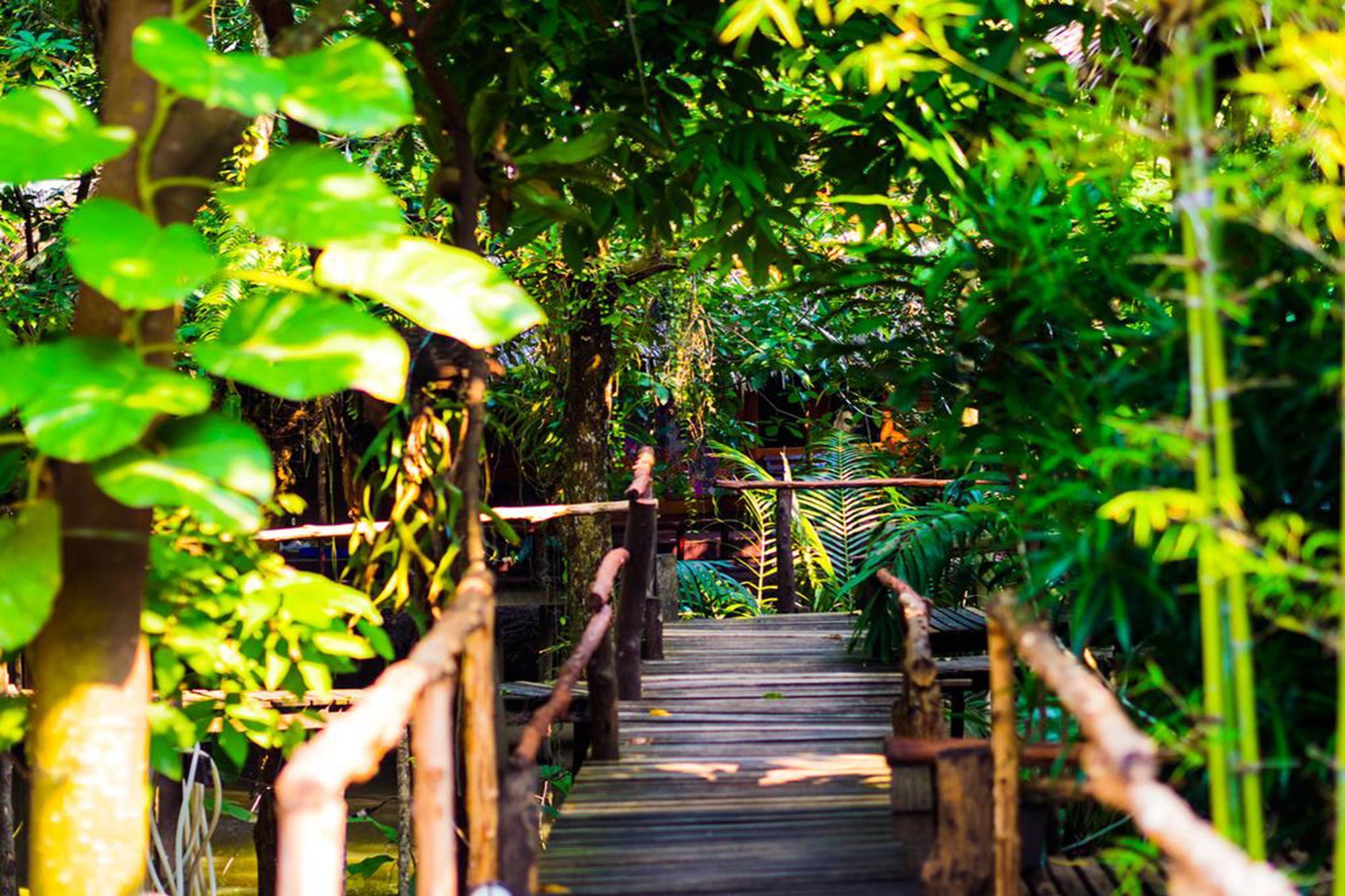 Mayom Garden (Adults Only) Ko Pha Ngan Buitenkant foto